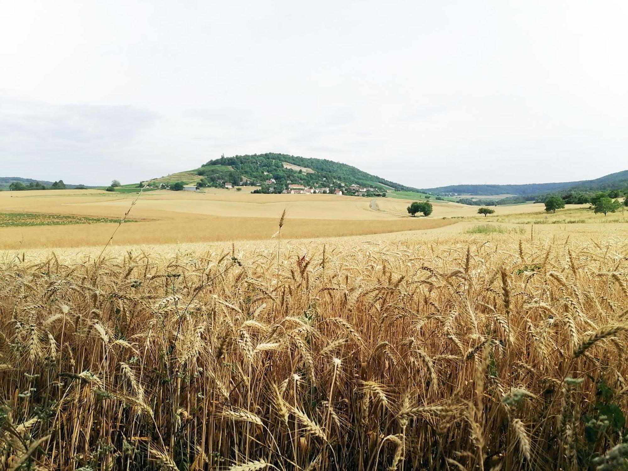 Gite Hautes Cotes De Nuits Curtil-Vergy Luaran gambar